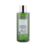 Шампунь очищаючий для жирного волосся з лупою - Alan Jey Green Natural Shampoo Purificante 250 мл
