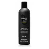 Alfaparf Milano енергетичний шампунь Blends Energizinf Low Shampoo 250 мл