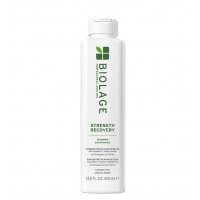 Шампунь для зміцнення пошкодженого волосся - Biolage Strenght Recovery Shampoo
