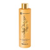 Шампунь зволожуючий з олією арганії і алое Brelil Intensive Organik Argan oil And Aloe Vera, 1000 мл Шампунь зволожуючий з олією арганії і алое Brelil Intensive Organik Argan oil And Aloe Vera, 1000 мл