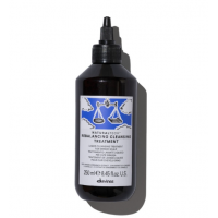 Davines Rebalancing Cleansing Treatment Очищаючий флюїд для волосся та шкіри голови 250 мл Davines Rebalancing Cleansing Treatment Очищаючий флюїд для волосся та шкіри голови 250 мл