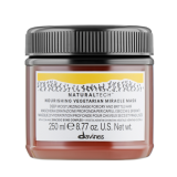 Поживна відновлююча маска для волосся Davines HBP Hairbuilding, 250 мл