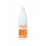 Медовий шампунь для кучерявого та хвилястого волосся - Dikson Promaster Honey Curl Control Shampoo 1000 мл