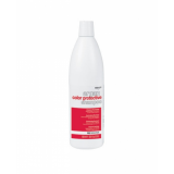 Захисний шампунь для блиску фарбованого волосся - Dikson Promaster Argan Color Protective Shampoo 1000 мл 