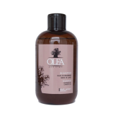 Шампунь на основі олій баобабу та льону - Dott. Solari Olea Pure Origin Шампунь Baobab Oil Linseed Oil