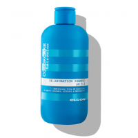 Elgon Colorcare Re-Animation Shampoo Шампунь для пошкодженого фарбованого волосся
