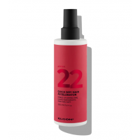 Спрей-прискорювач висихання з розгладжуючими властивостями - Elgon Affixx 22 Quicky Dry Hair Accelerator 200 мл 
