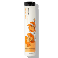 Шампунь для відновлення волосся - Elgon Refibra Restoring Shampoo