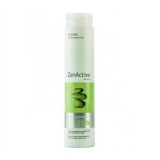 Шампунь для жирного волосся - Erayba Zen Active Z12b Cleansing Shampoo 250 мл
