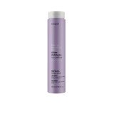 Erayba Шампунь антижовтий для освітленого волосся ABH Silver No-Yellow Shampoo