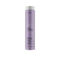 Erayba Шампунь антижовтий для освітленого волосся ABH Silver No-Yellow Shampoo