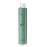Лак для волосся середньої фіксації Erayba S10 Flex Spray, 500 мл