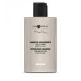 Шампунь для відновлення волосся - Hair Company Chrono Age Vitality Madame Revitalizing Shampoo 300 мл