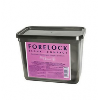 Helen Seward Освітлююча пудра до 7 тонів Forelock Blank Compact 650 гр Helen Seward Освітлююча пудра до 7 тонів Forelock Blank Compact 650 гр