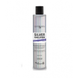 Срібний шампунь - Helen Seward Quick And Easy No Yellow Silver Evolution Shampoo 250 мл