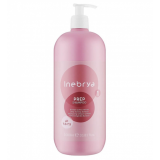 Шампунь для глибокого очищення волосся - Inebrya Prep Deep Cleansing Shampoo 1000 мл