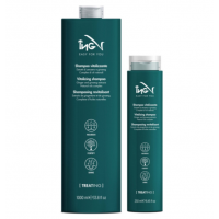 Шампунь для щоденного застосування - ING Professional Treat-Frequence Shampoo