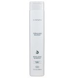 Шампунь для стимуляції росту волосся - L'anza Healing Nourish Stimulating Shampoo 300 мл