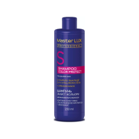 Шампунь для фарбованого волосся - Master LUX Color Protect Shampoo