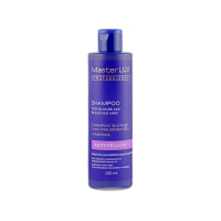 Шампунь для нейтралізації жовтизні - Master LUX Anti-Yellow Shampoo