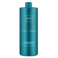 Шампунь Термозахист з протеїнами шовку - Moli Cosmetics Hydra-Thermale 1000 мл