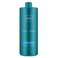 Шампунь Термозахист з протеїнами шовку - Moli Cosmetics Hydra-Thermale 1000 мл