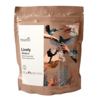 Пудра для волосся, що освітлює, без аміаку - Nouvelle Lively Bleaching Powder Mildeco 500 г