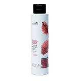 Шампунь проти лупи Nouvelle Scalp Habit Purifying Shampoo 250 мл