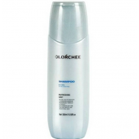 Освіжаючий шампунь для волосся - Olorchee Ice Cool Shampoo