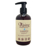 Шампунь проти лупи НатурХармоні - Orising Natur Harmony Shampoo Dandruff