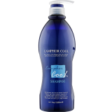 Освіжаючий шампунь для всіх типів - PL Cosmetic Camphor Cool Shampoo 1000 мл
