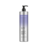 Шампунь для нейтралізації жовтизни - Professional Silver Anti-Yellowing Shampoo 500 мл