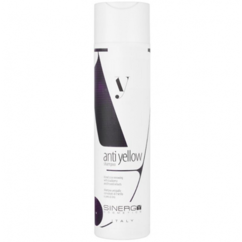 Шампунь антижовтий Y5.1 - Sinergy Anti Yellow Shampoo 250 мл
