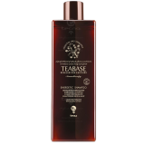 Енергетичний шампунь для слабкого та ламкого волосся - Tecna Teabase Energetic 250 мл