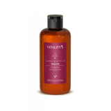 Кондиціонер для об'єму волосся - Vitality's Care Style Volume Conditioner 