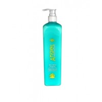 Angel Professional Шампунь подвійної дії для відновлення і живлення пошкодженого волосся AMB Dual Repair Shampoo