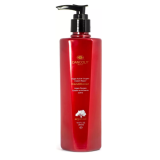 Кондиціонер миттєве відновлення з арганою - Angel Professional Dancoly Argan Oil Conditioner